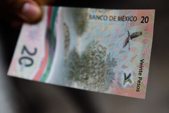 CIUDAD DE MÉXICO, 20OCTUBRE2021.- Ya se encuentra circulando el nuevo billete de 20 pesos que forma parte de los actos conmemorativos de los 200 años de la consumación de la Independencia de México, el ejemplar muestra en su cara frontal el grabado de la entrada del Ejército de las Tres Garantías a la Ciudad de México el día 27 de septiembre del de 1821; en su cara posterior muestra un grabado del ecosistema de manglares de la Reserva de la Biósfera Sian Ka'an, en Quintana Roo.
FOTO: MOISÉS PABLO/CUARTOSCURO.COM
