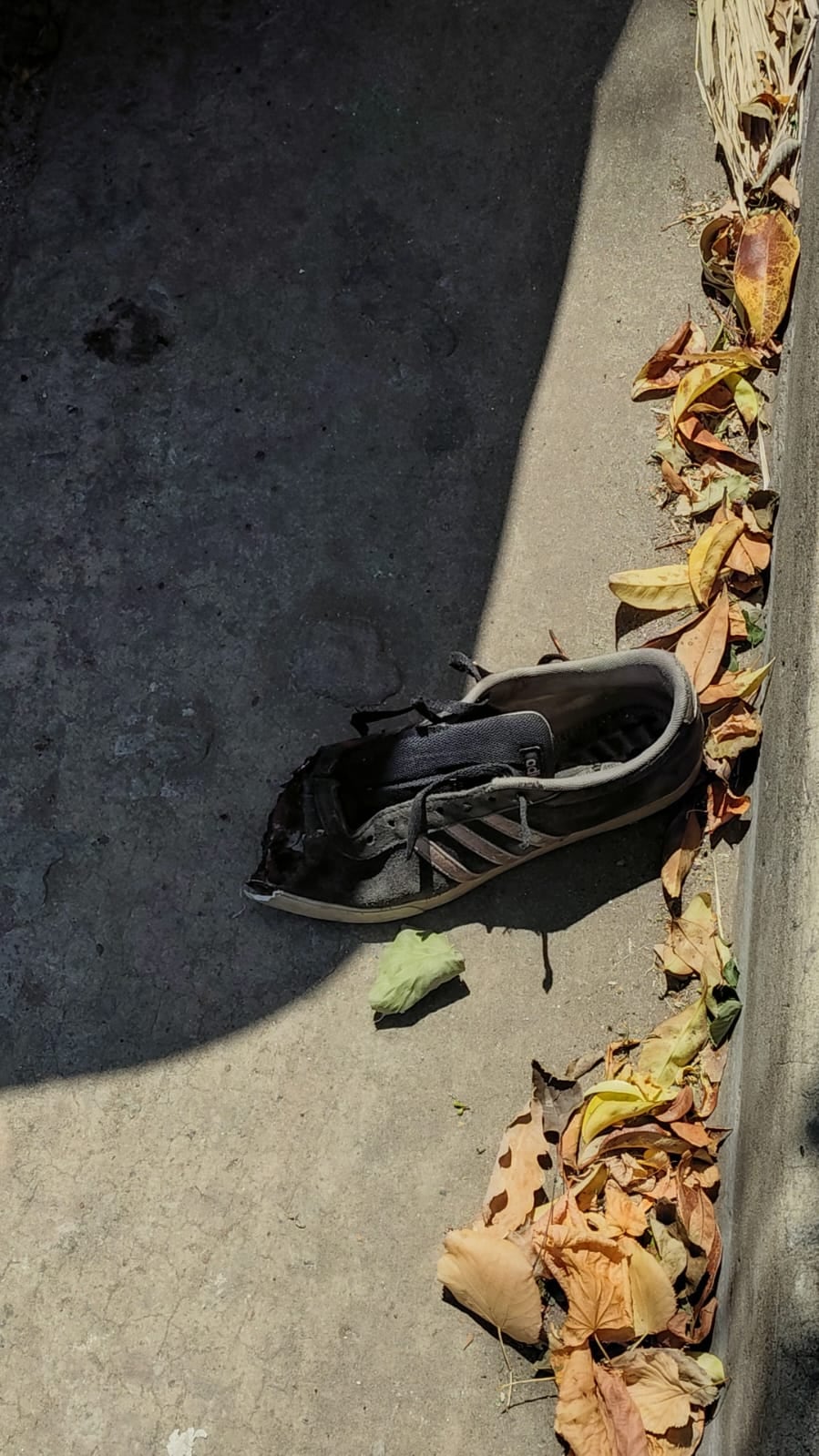 Así quedó la zapatilla de la mujer que sufrió el accidente