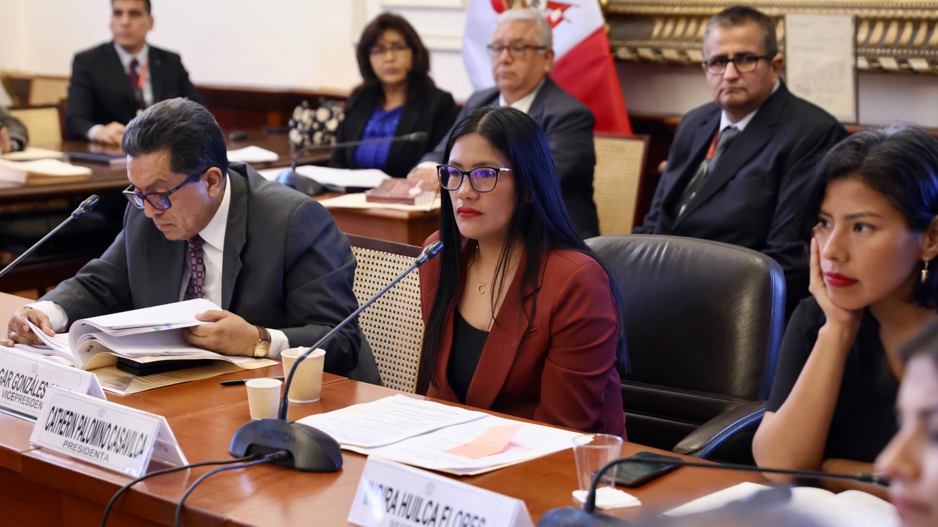 La Mesa Directiva de la Comisión de Justicia y Derechos Humanos de la Cámara de Diputados para el periodo 2026-2027 está presidida por Catherin Palomino (Juntos por el Perú), acompañada por Edgar Gonzales Polar (Partido del Buen Gobierno) en la vicepresidencia e Indira Huilca (Ahora Nación) en la secretaría.