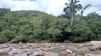 Cuerpo de Ana Villota Escandón