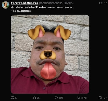 Meme en Redes Sociales sobre