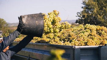 La D.O. Cava elogia la historia de Juvé & Camps y ve natural tener entradas y salidas