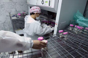 FOTO: GRACIELA LÓPEZ /CUARTOSCURO