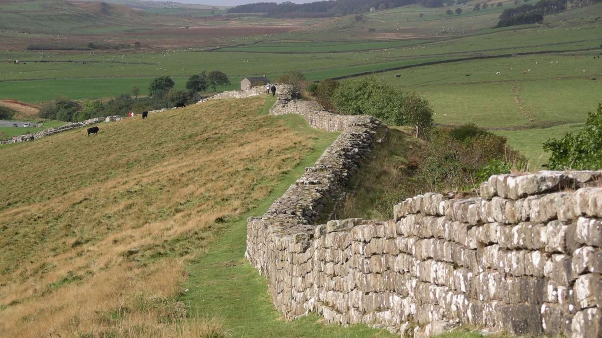 Todavía se conservan algunos tramos del Muro de Adriano, sobre todo en su sector central montañoso (Wikimedia Commons)