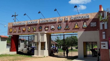 Inusual hallazgo: una boa es encontrada dentro de un escritorio en universidad de Ucayali. (Foto: Agencia Andina)