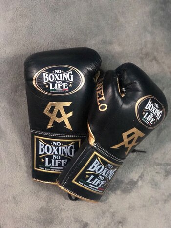 Los guantes son elemento imprescindible en la vida y viajes del Canelo (Foto: Archivo)