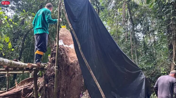 El hallazgo en Solimões reafirma la importancia de la Amazonia en la historia cultural precolombina de América (Márcio Amaral/Geórgea Layla Holanda)
