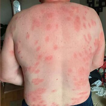 Powell corrió hacia su baño,