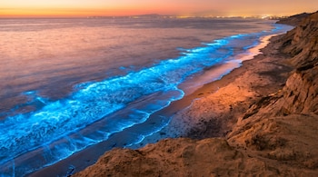 Olas azul brillante de algas bioluminiscentes rompen en una playa de arena al atardecer, junto a acantilados rocosos y luces de una ciudad lejana.