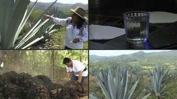 Durante el mes de mayo