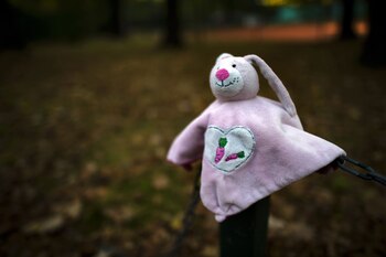ARCHIVO - Alguien encontró este conejo en un parque y lo colocó sobre un poste para que su dueño pueda recuperarlo. Foto: Arno Burgi/dpa/dpa-mag