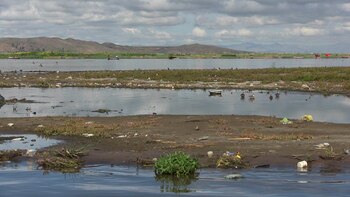 Fallo judicial reconoce que comunidades