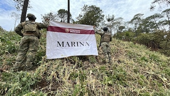Marina desmantela plantíos de amapola del CJNG y afecta finanzas del grupo criminal en Nayarit