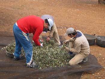 Imagen de archivo de tres