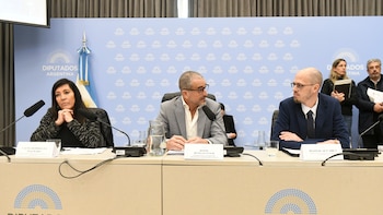 Tras excluir a los funcionarios, La Libertad Avanza consiguió dictamen en Diputados para el proyecto de Inocencia Fiscal II