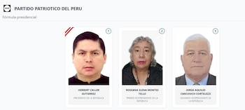 Lista de vicepresidentes en Perú 2026: estos son los acompañantes de cada candidato: Captura: ONPE.