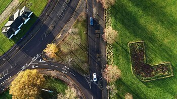 Bosques urbanos, una solución verde