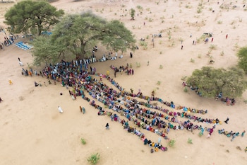Cientos de refugiados sudaneses esperan la distribución de alimentos en un campamento en Ouaddai, Chad. Créditos ACNUR - Colin Delfosse