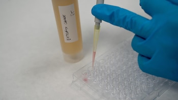 Itene desarrolla un sistema de detección rápida de salmonella y listeria en alimentos mediante biosensores avanzados
