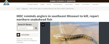 El Departamento de Conservación de