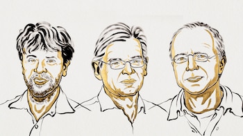 El descubrimiento del Premio Nobel de Medicina “que antes solo podíamos soñar”: así marcan las células la memoria y las emociones en el cerebro