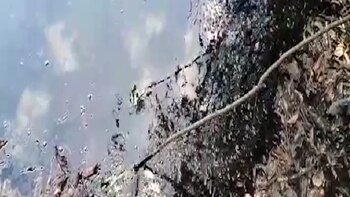 Loreto: Nuevo derrame de petróleo