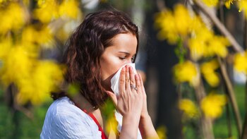 La ciudad tiene alrededor de