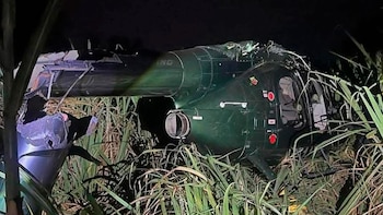 Las causas del desplome del