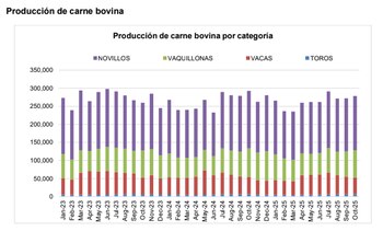 La producción de carne de