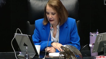 La Cámara Alta analizará en los próximos días la designación enviada por la presidenta Claudia Sheinbaum, en cumplimiento de los procedimientos constitucionales que otorgan al Senado la atribución de ratificar al responsable de la política exterior