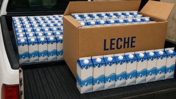 Lo denunciaron por robar electricidad y deberá donar 80 litros de leche para evitar el juicio