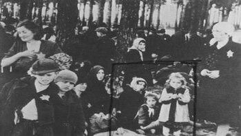 Fueron llevados al bosque para