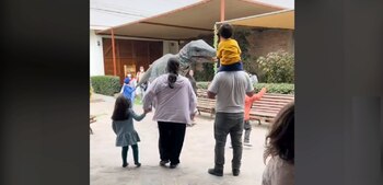 (Captura: TikTok / @vivianlr127)