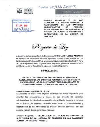 El proyecto plantea sanciones diferenciadas