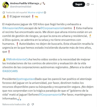 La congresista advirtió que el animal podría cruzarse con vecinos en un área habitada y reclamó que se mantenga el operativo hasta ubicarlo, mientras las autoridades coordinan acciones en un comité de gestión - crédito captura de pantalla @andreanimalidad / X