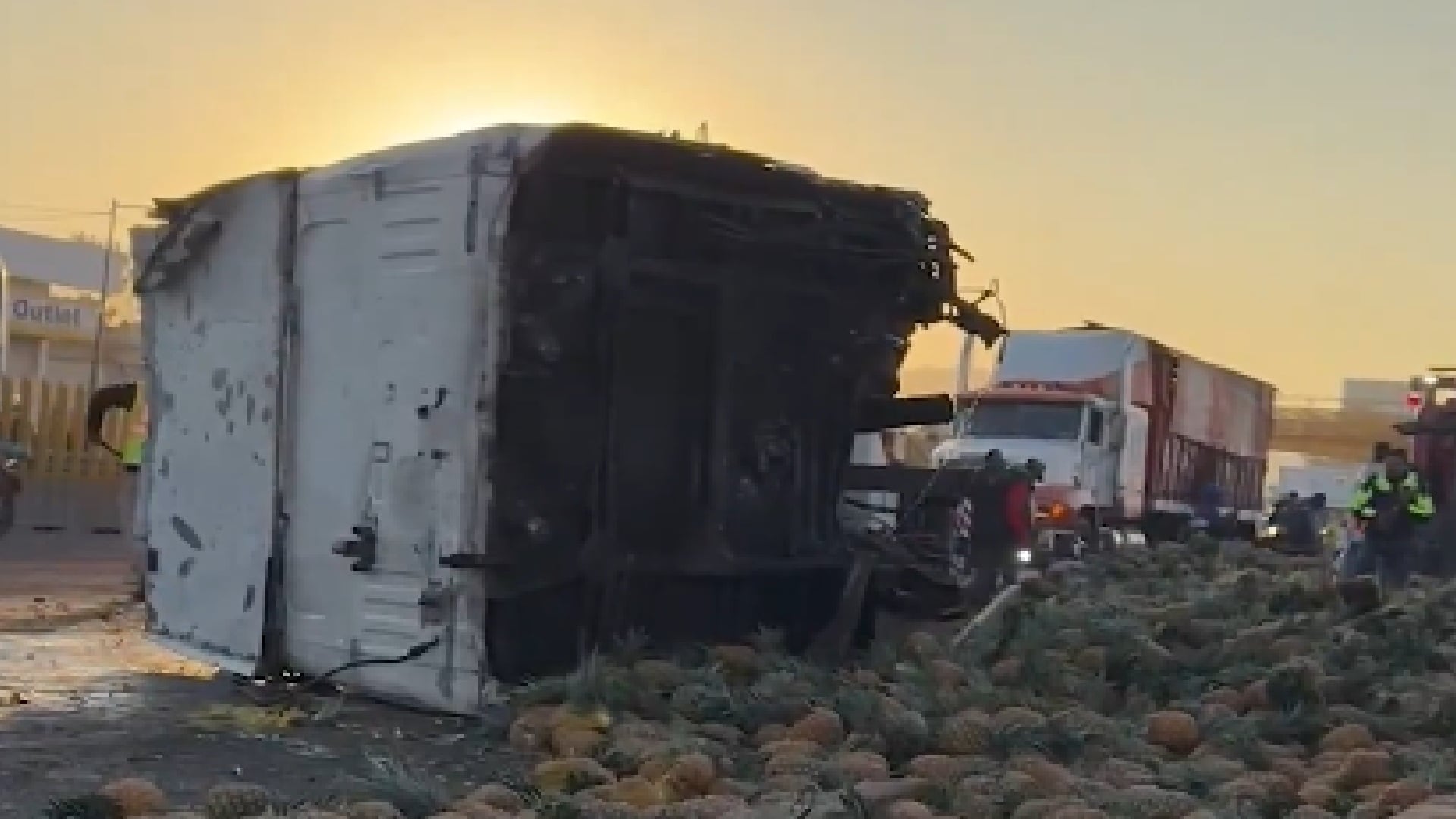 Caos vial por accidente de tráiler que transportaba piñas: fruta queda regada en la autopista México-Puebla