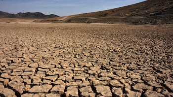 Cómo la sequía podría hacer más resistentes a las bacterias frente a los medicamentos