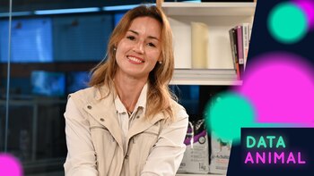 Adiestramiento de caballos sin violencia: