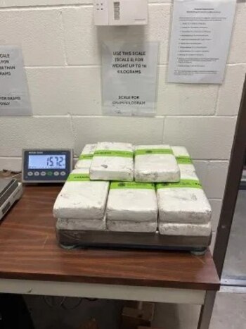 Narco pierde cerca de 10 millones de pesos en cargamento de cocaína interceptado en la frontera de Tamaulipas - Infobae