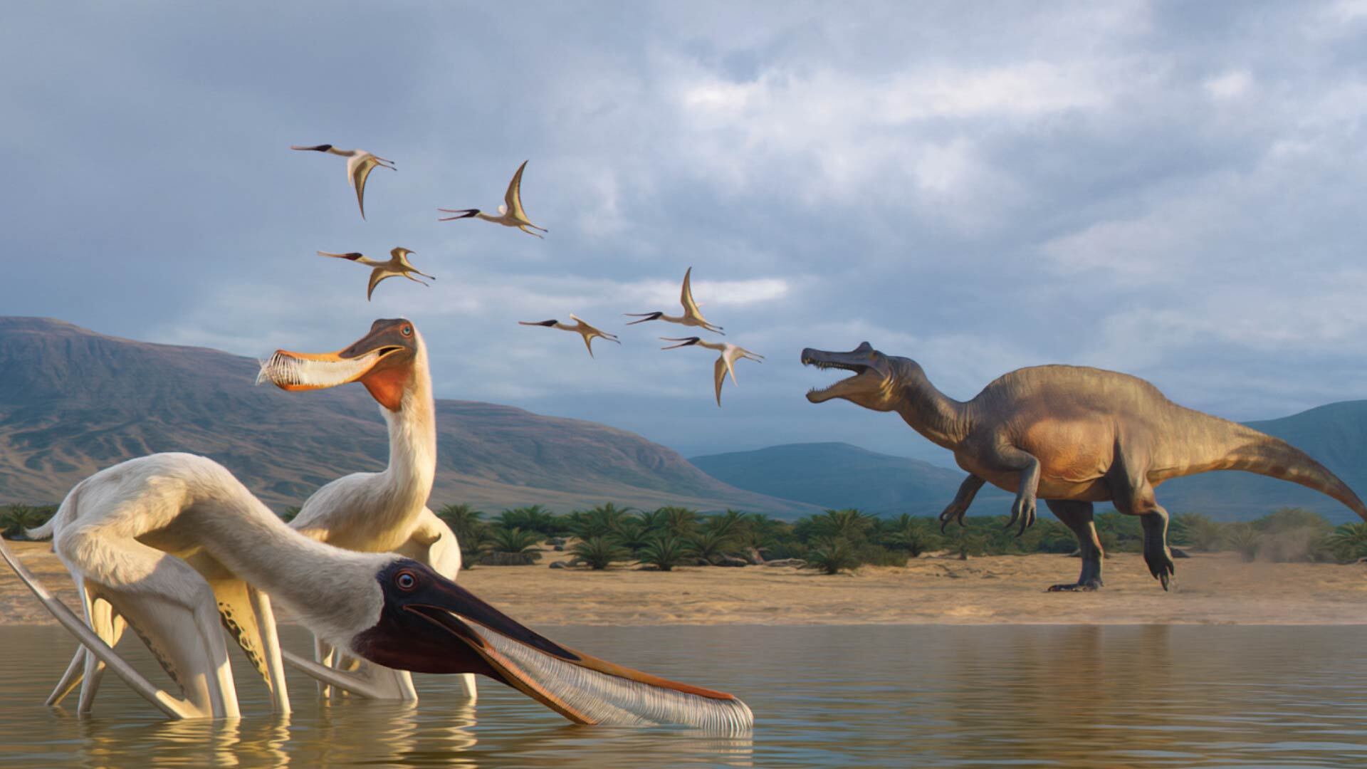 El Bakiribu waridza es el primer pterosaurio filtrador identificado en el nordeste de Brasil, hallado en la Formación Romualdo de la Cuenca de Araripe (Julio Lacerda)