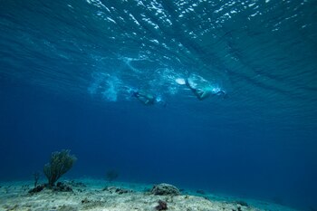 Una de las actividades más