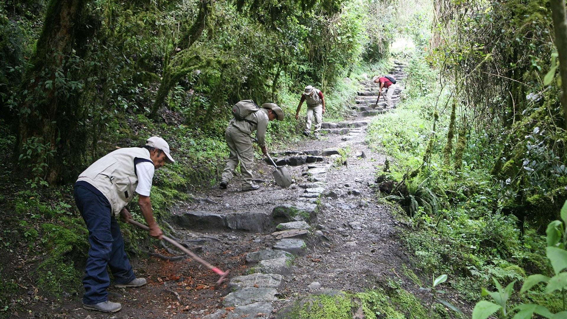 Del 1 al 28 de febrero la red de Caminos Inca a la ciudadela inca de Machu Picchu ingresará en mantenimiento. (Andina)