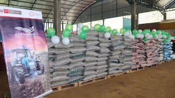 Aun no se garantiza el