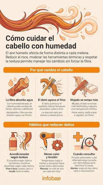 Infografía con ilustraciones de mechones de pelo, peines, un secador y un frasco sobre recomendaciones para el cuidado del cabello.