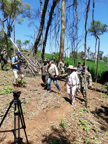Las tareas de campo y