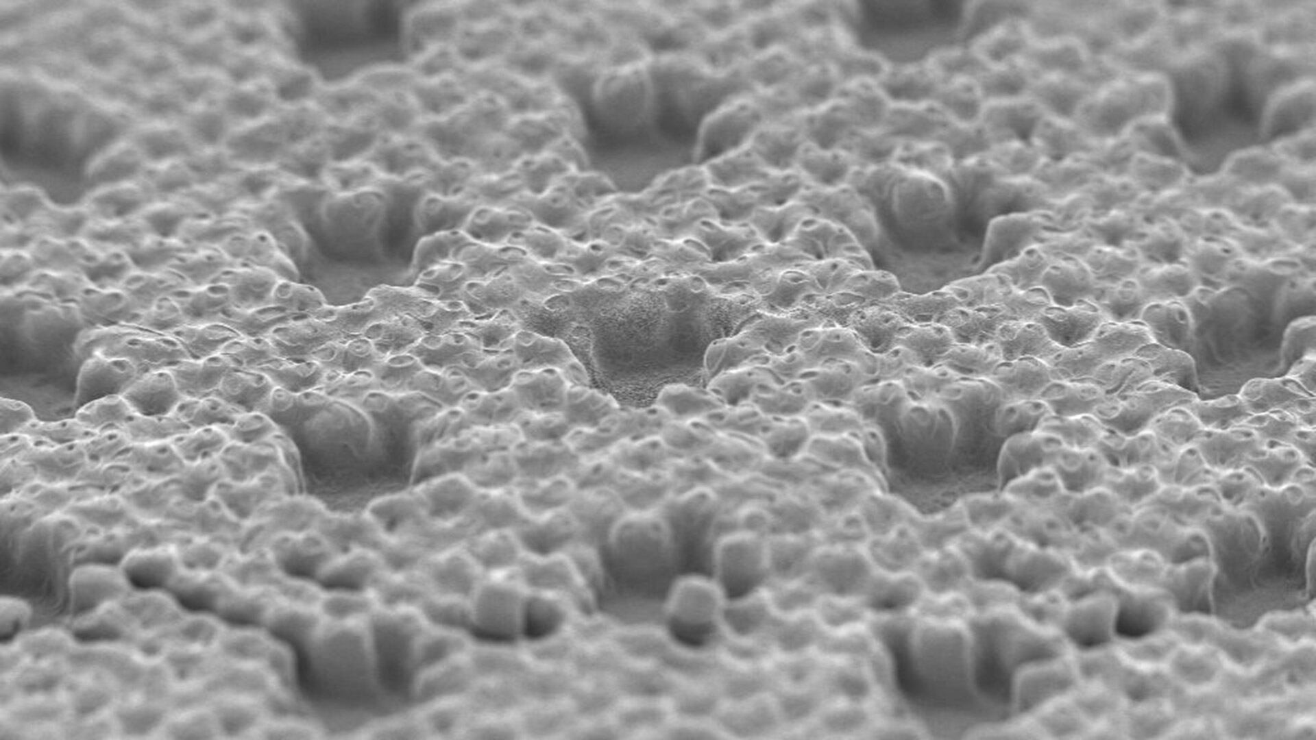 Microfotografía de una microestructura en 3D para quintuplicar la velocidad de carga