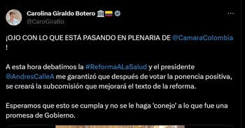 La Representante de Cámara de