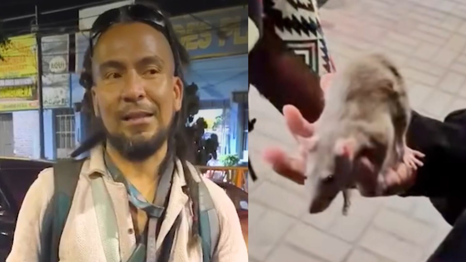 La historia de un joven chiclayano que dejó atrás su vida como chef para recorrer Sudamérica acompañado de ratas amaestradas. Foto: Composición Infobae Perú