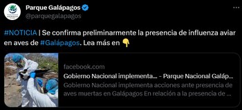 El ministro de Ambiente en