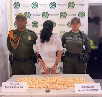 La mujer que llevaba cerca